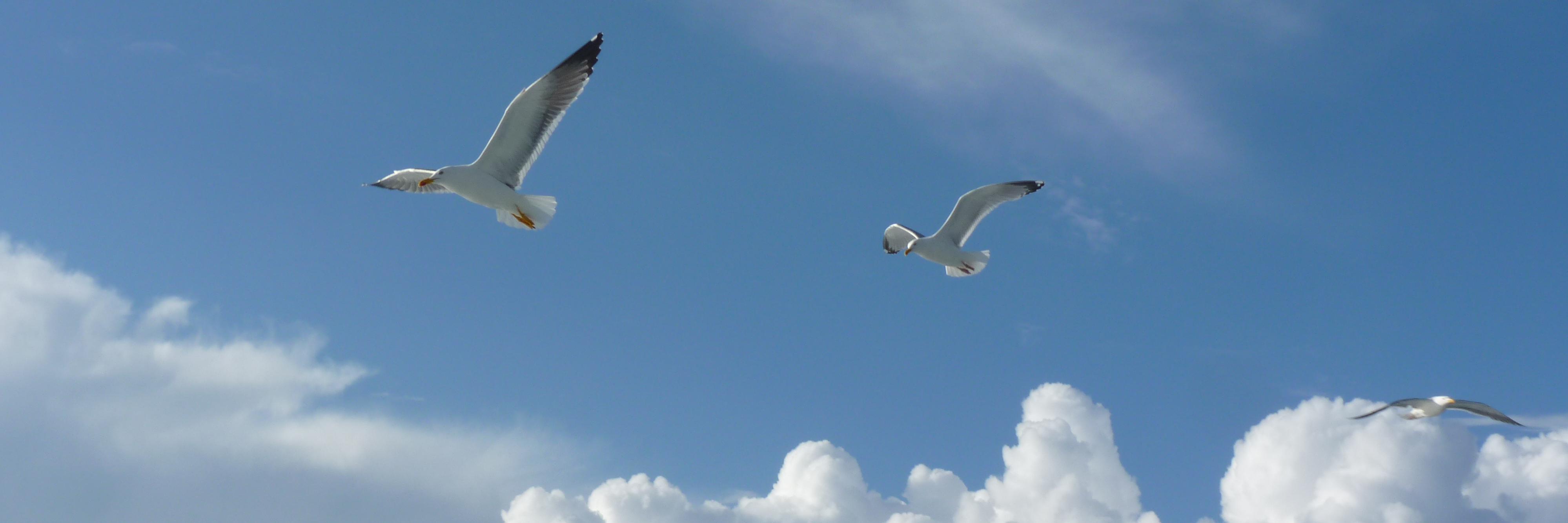 ejcritchley's profile banner image