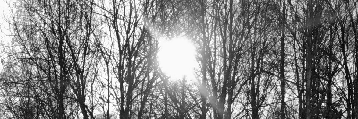 Kristoffer Holt banner