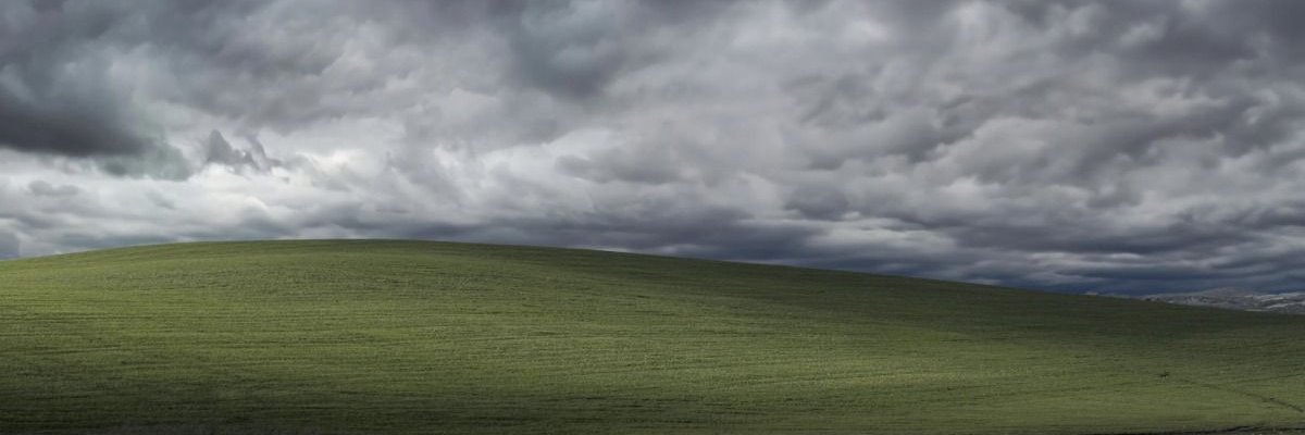 TheGooseEthan banner