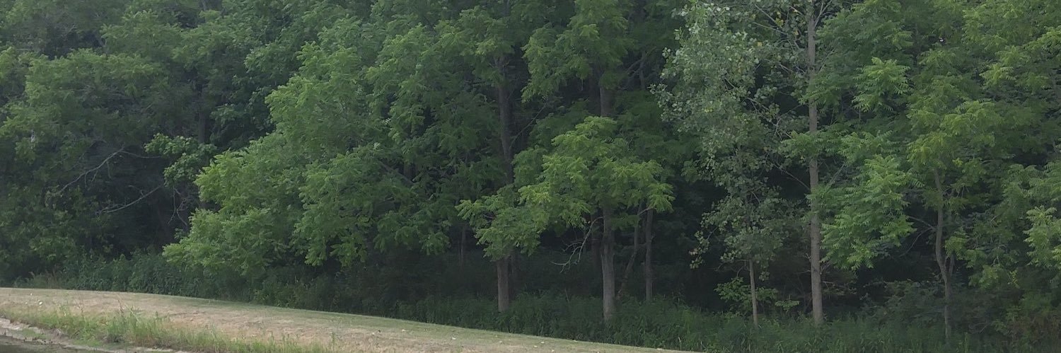 SaltyIrishMom's profile banner image