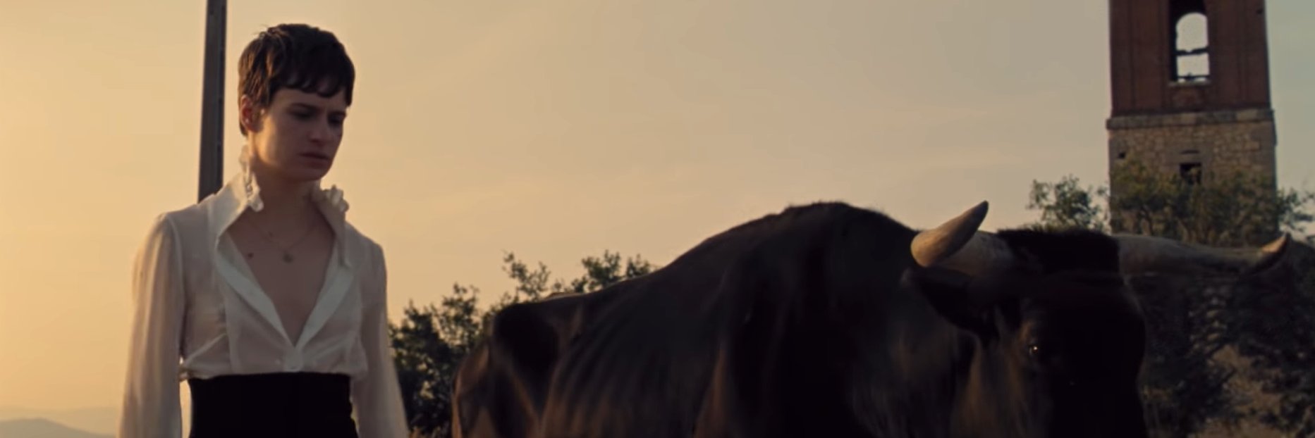 Scout Calvert banner