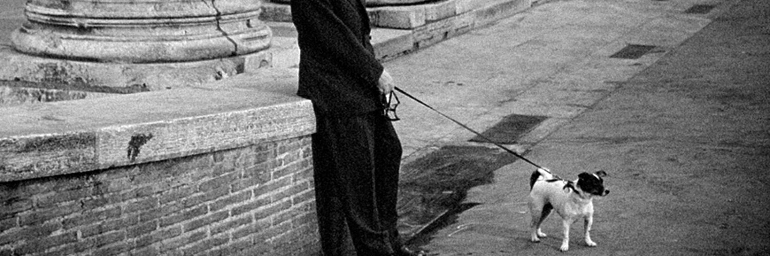 daniel chiaretti banner