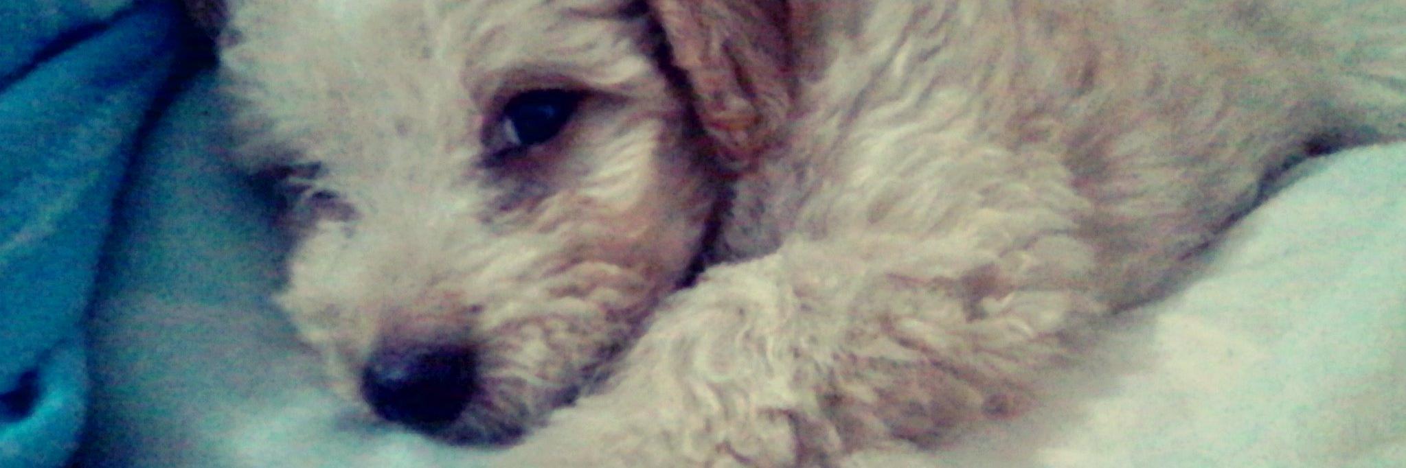 TuDimeNohe's profile banner image