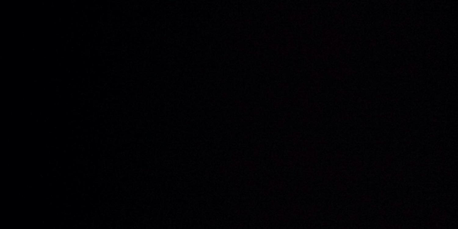 xnaomidissel's profile banner image