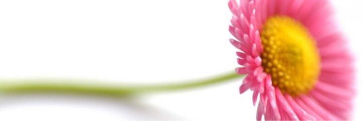 HelloMandz's profile banner image