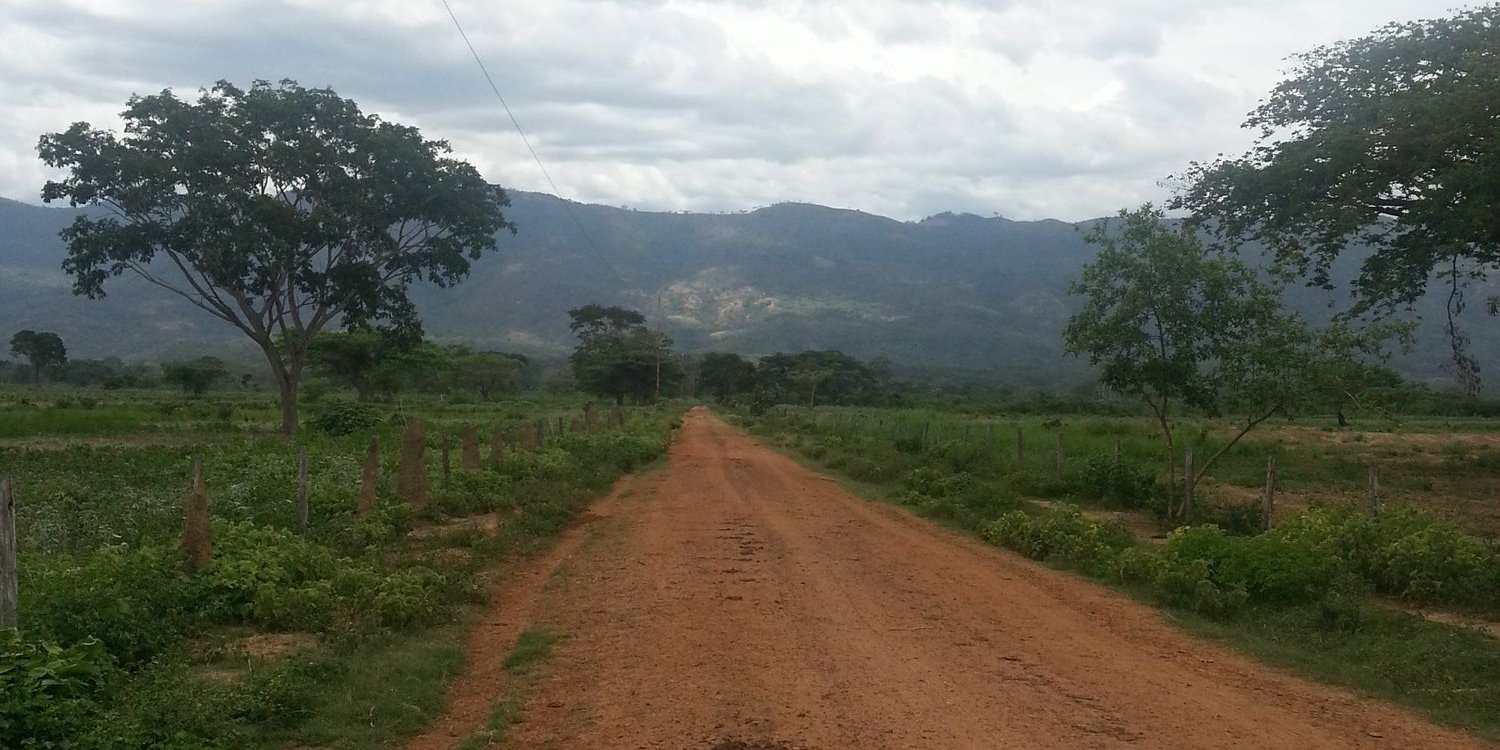 agrosaca's profile banner image