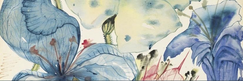 brockb0eser's profile banner image