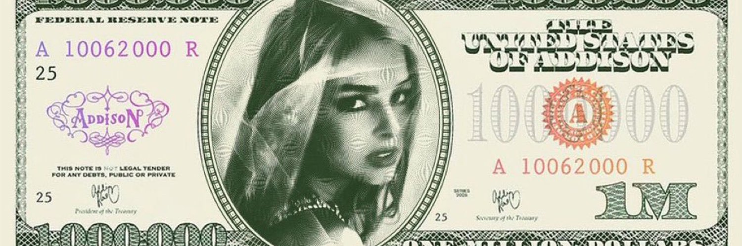 nina banner