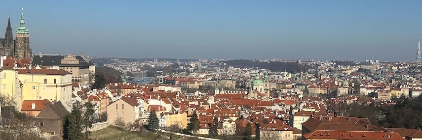 Mark Robinson banner