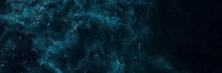 ribeiroisadora_'s profile banner image