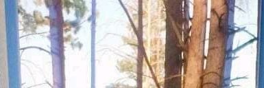 FatosGS_'s profile banner image