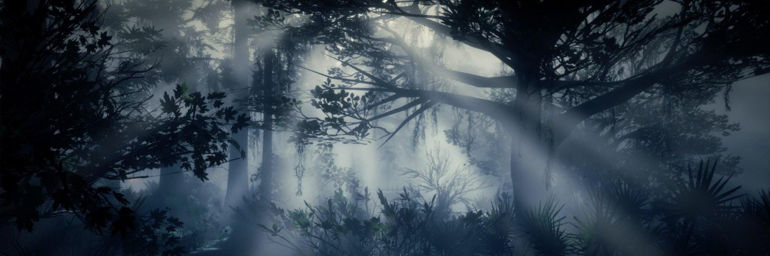 DIEDERERLKING's profile banner image