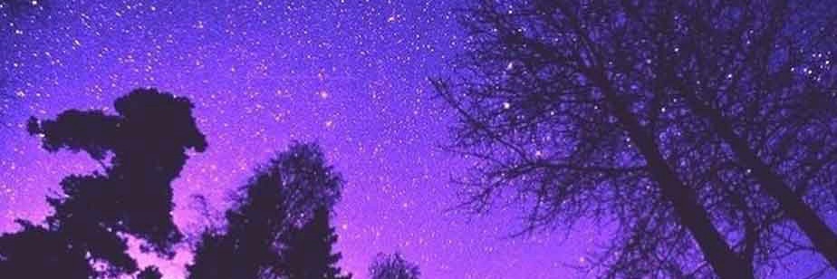 💜🔞Woof🔞💜 banner