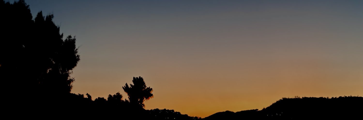 Francisco Javier Ferreyra López banner