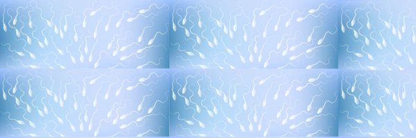 SEMENgalore Profile Banner
