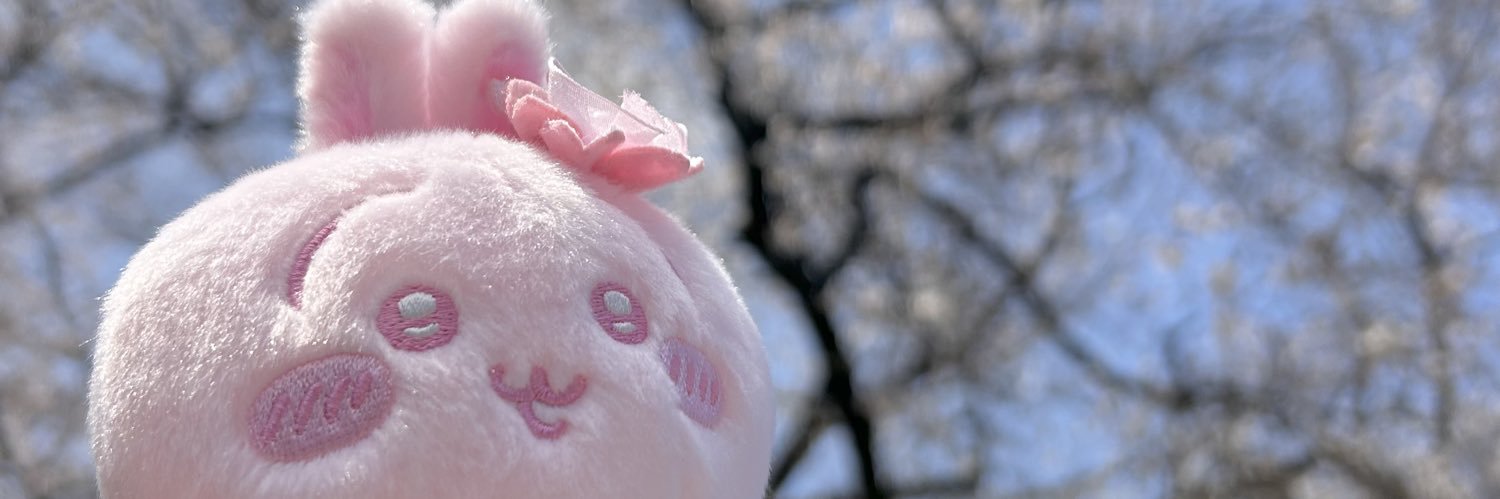 HayamaRai's profile banner image