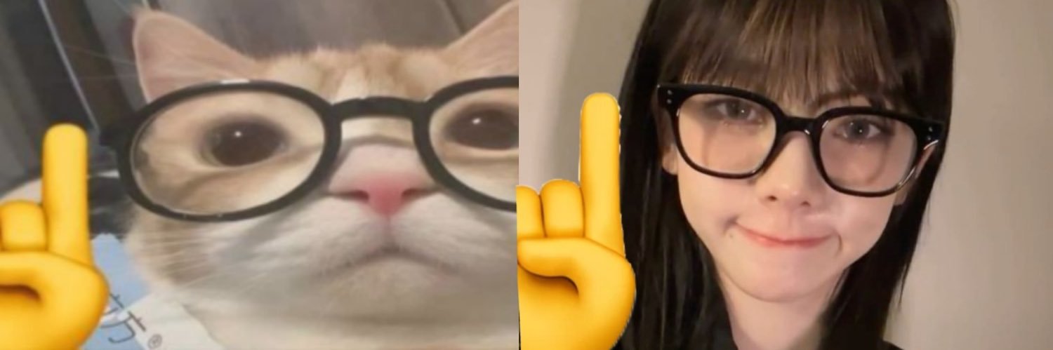 slapmehanni's profile banner image