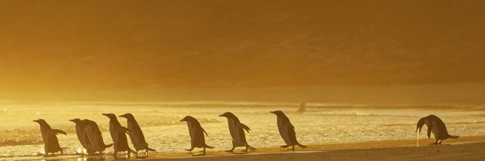 welcomestranger's profile banner image