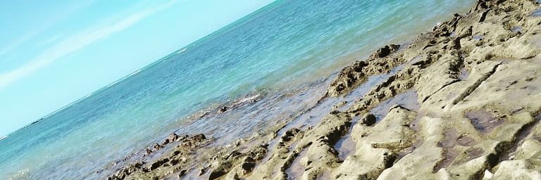 BiancaRooster's profile banner image