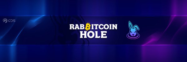 rabbitcoinhole2 Profile Banner