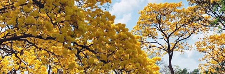 Juan Pablo Fernández banner