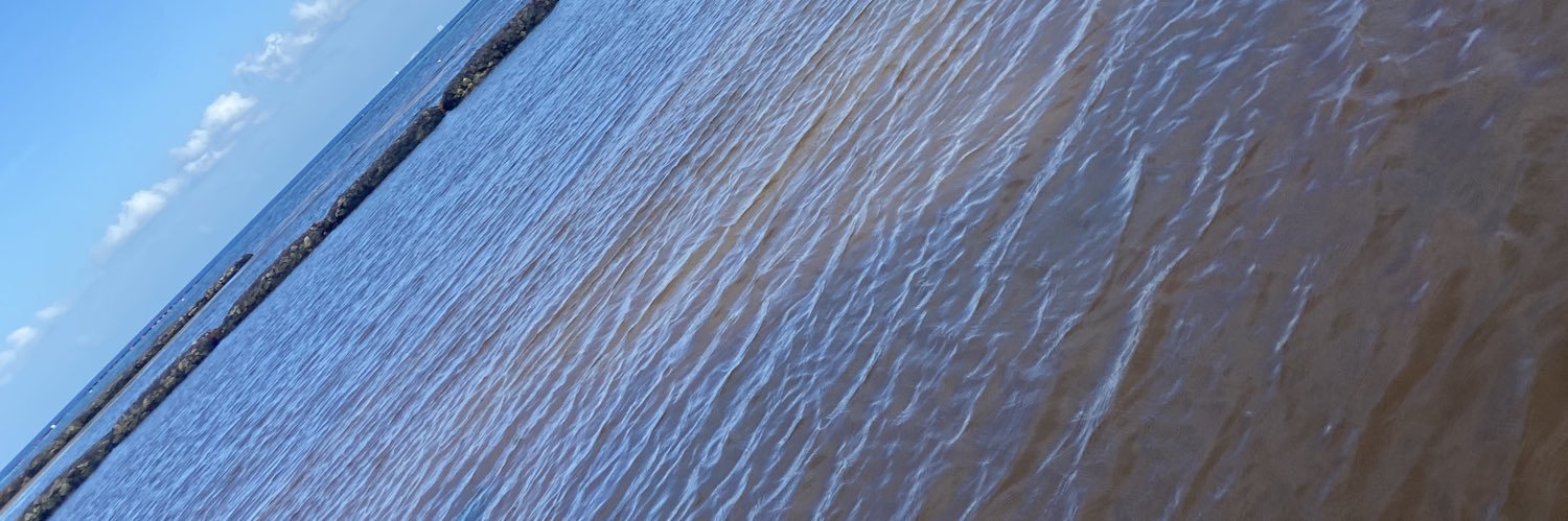 DiiannCJ's profile banner image