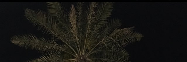 Free___Bahrain's profile banner image