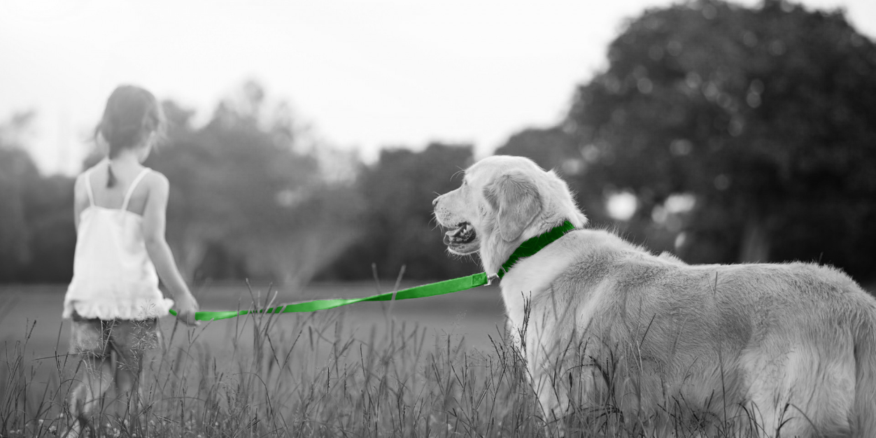 mediveb's profile banner image