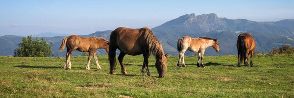 jo42397 Profile Banner