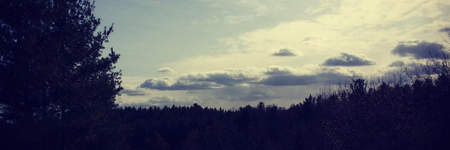 JiaHarry's profile banner image