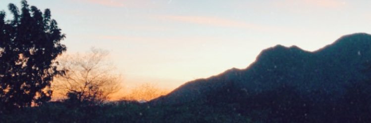 andreabarros94's profile banner image
