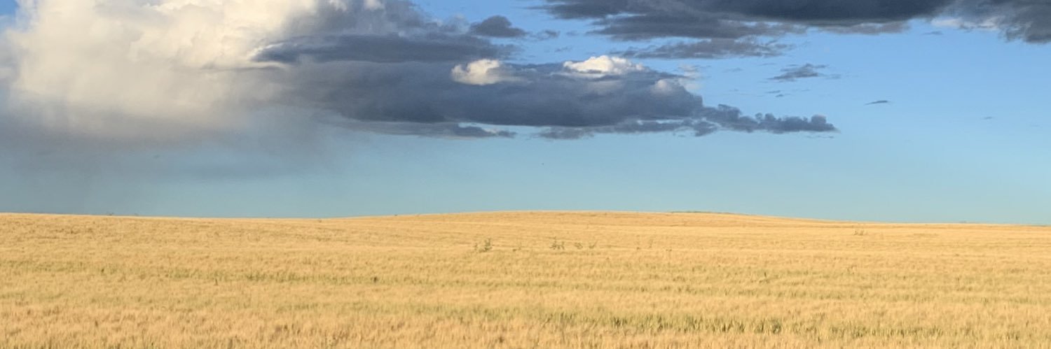 Ezri Oatway's banner
