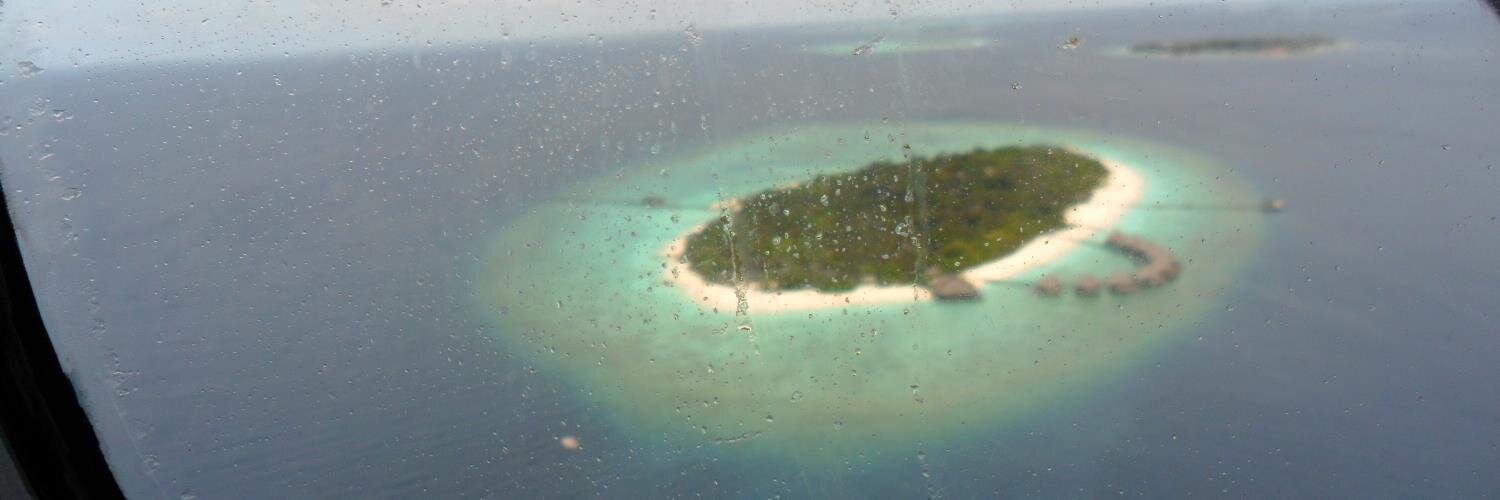 Terry Cairney banner