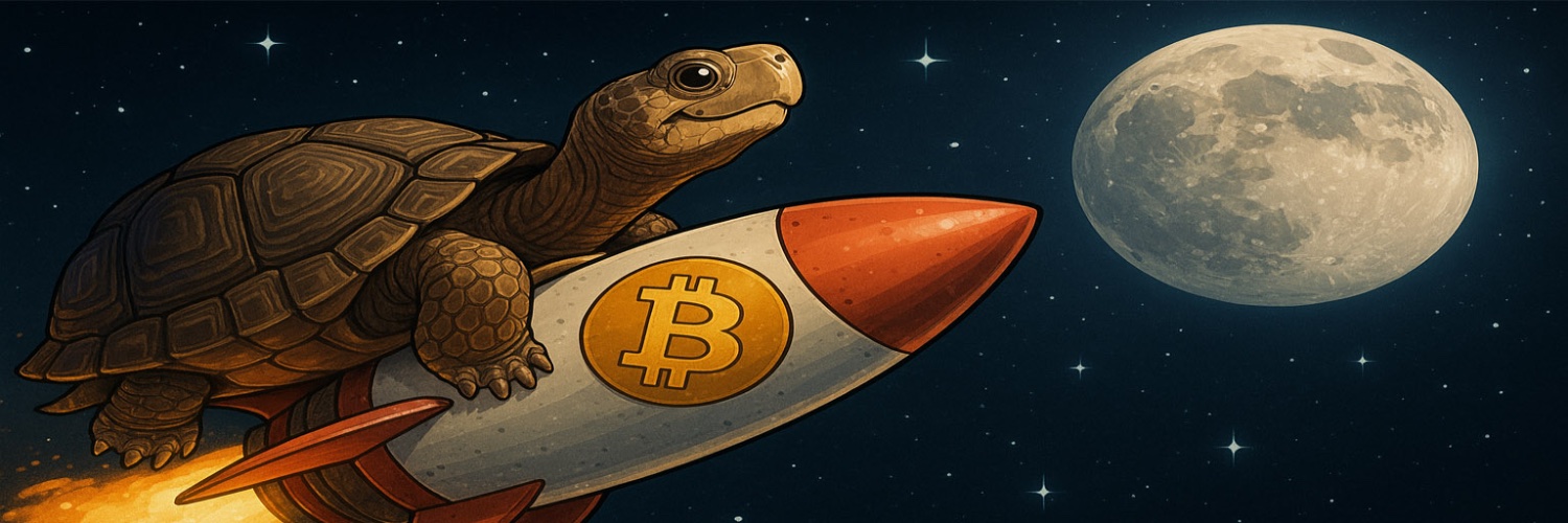 Tortuga ₿ ⚡️📸 banner