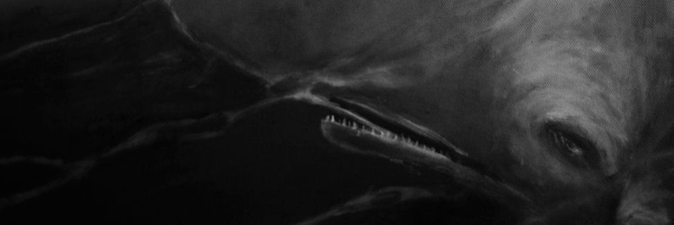 PiccolaVolante's profile banner image