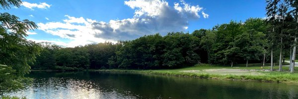 FTSMustangs Profile Banner