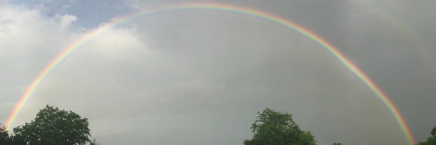 jan_lynn's profile banner image