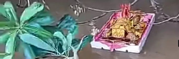 KLHC88 Profile Banner