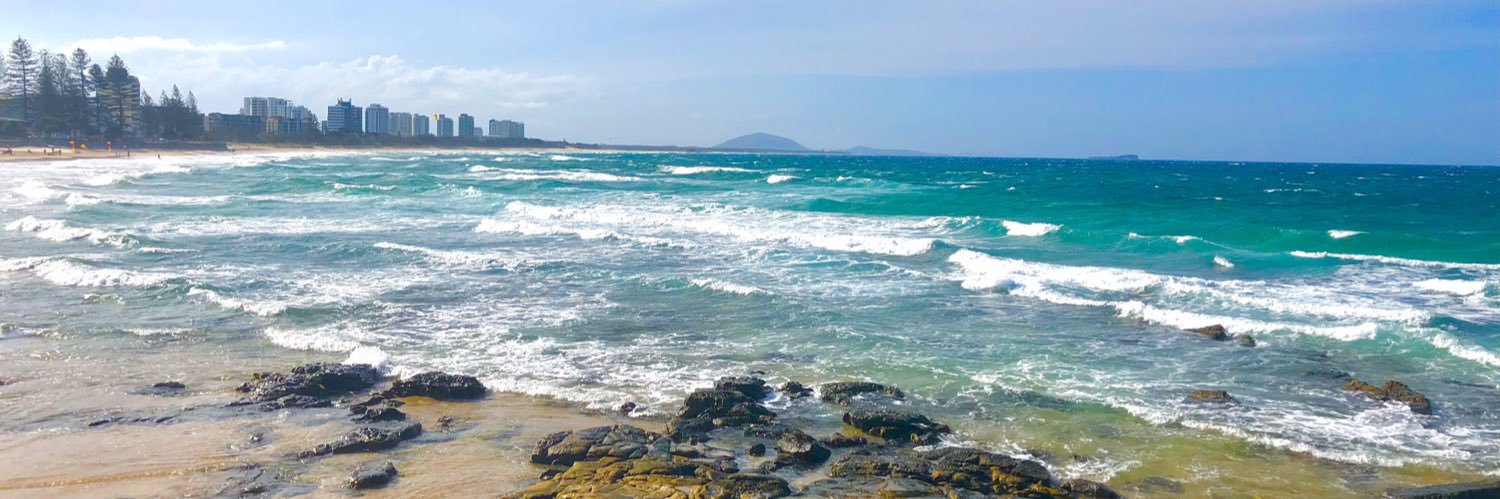 Viorel Copolovici banner