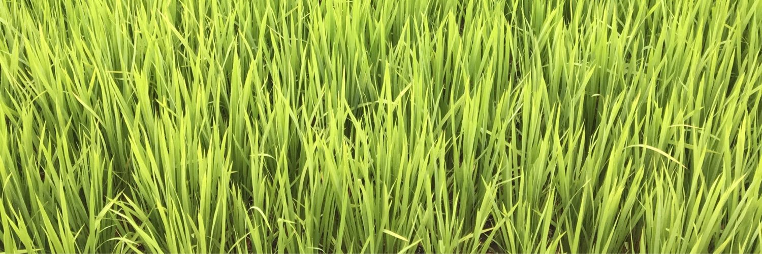 capabab's profile banner image
