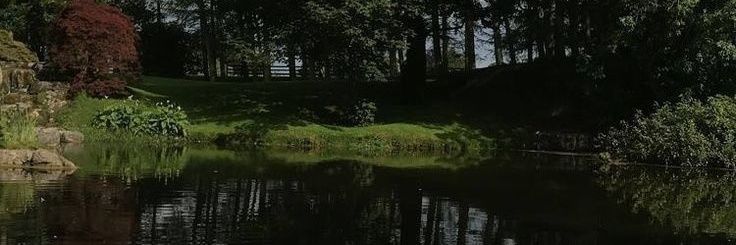 ChristeneH61492's profile banner image