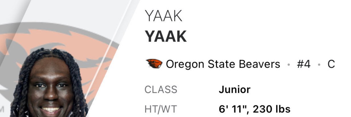 Salvatore “Pussy” Bonpensiero banner