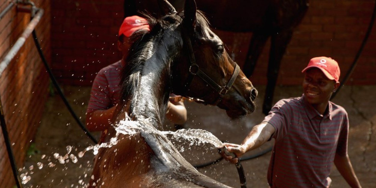 SAhorseGame's profile banner image