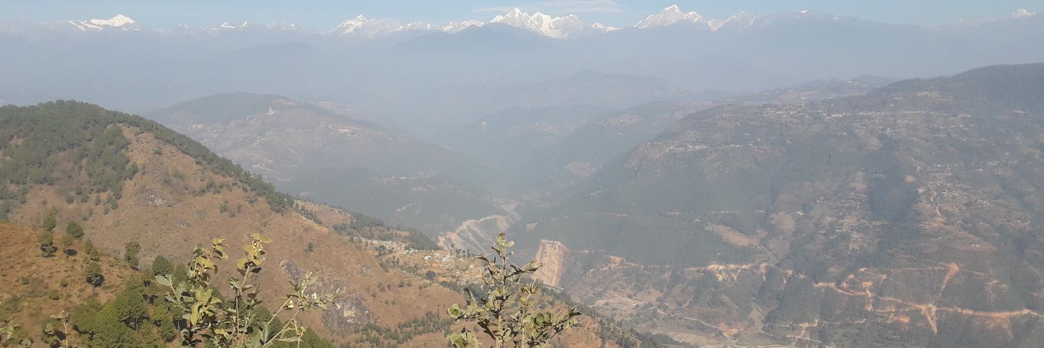 ppzonam's profile banner image