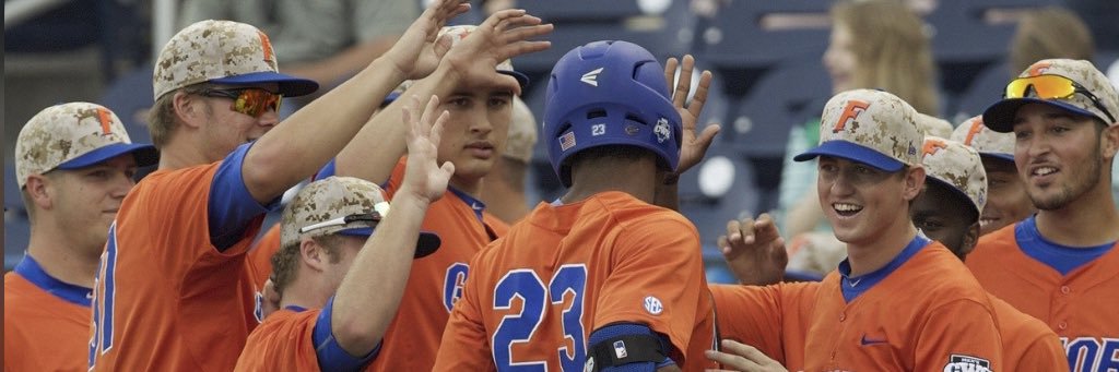Houston Baptist Universitiy Baseball banner