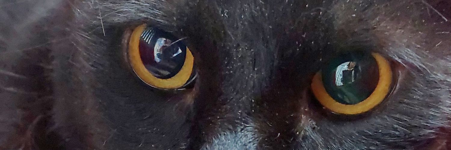 Hi_Ween's profile banner image