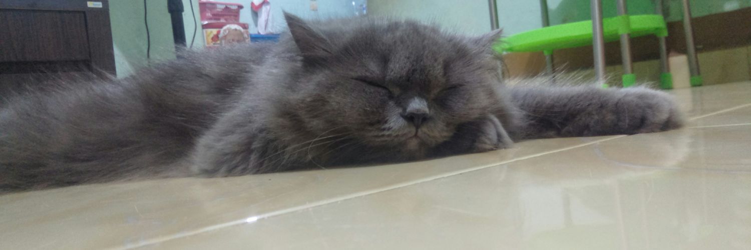 FilosofiPeyek's profile banner image