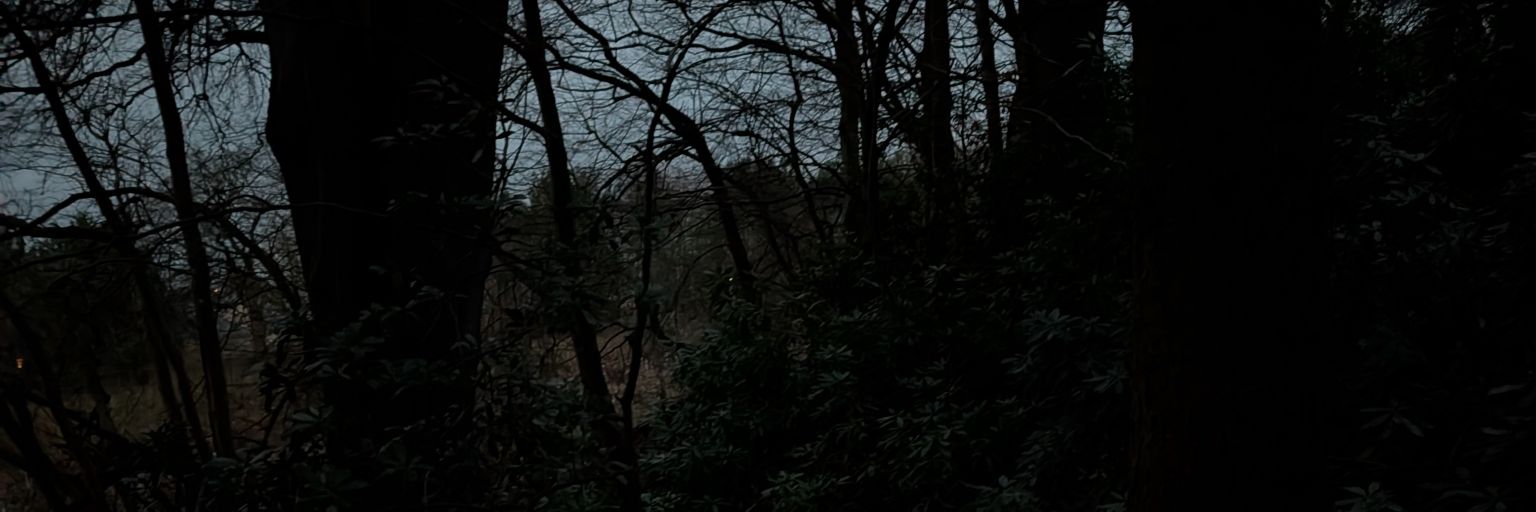 spine 🌒⚙️🦡 misses SPG banner