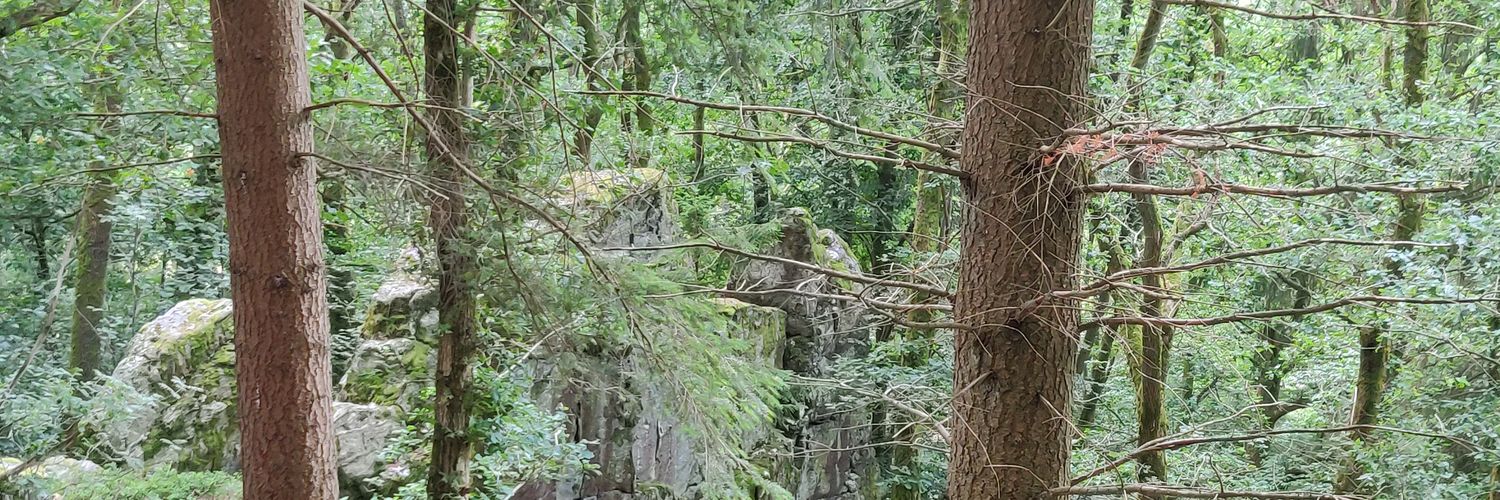 Marty McVry - @martymcvry.bsky.social banner