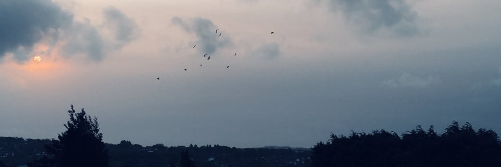 otconnelly's profile banner image